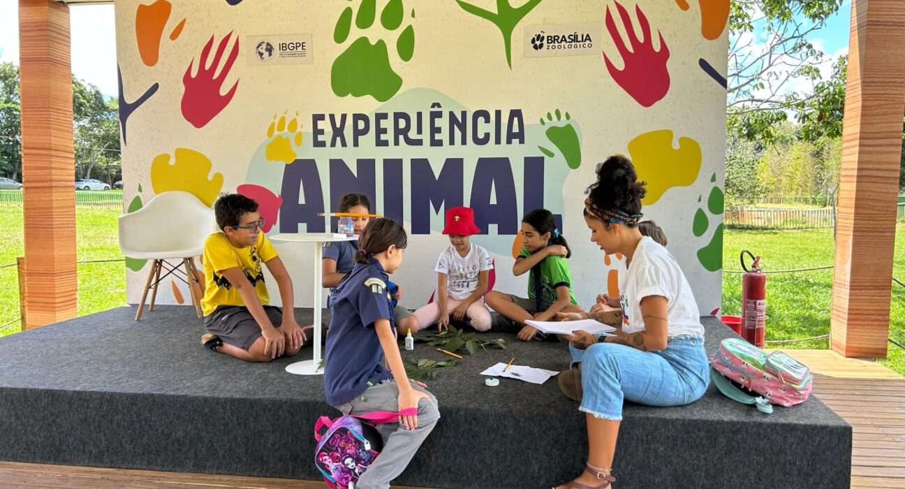 Férias no Zoológico de Brasília reúnem duas experiências imersivas sobre a natureza e a biodiversidade Diversão