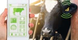 Tecnologia integra nutrição, gestão e mercado e muda a lógica da pecuária nas fazendas brasileiras agro