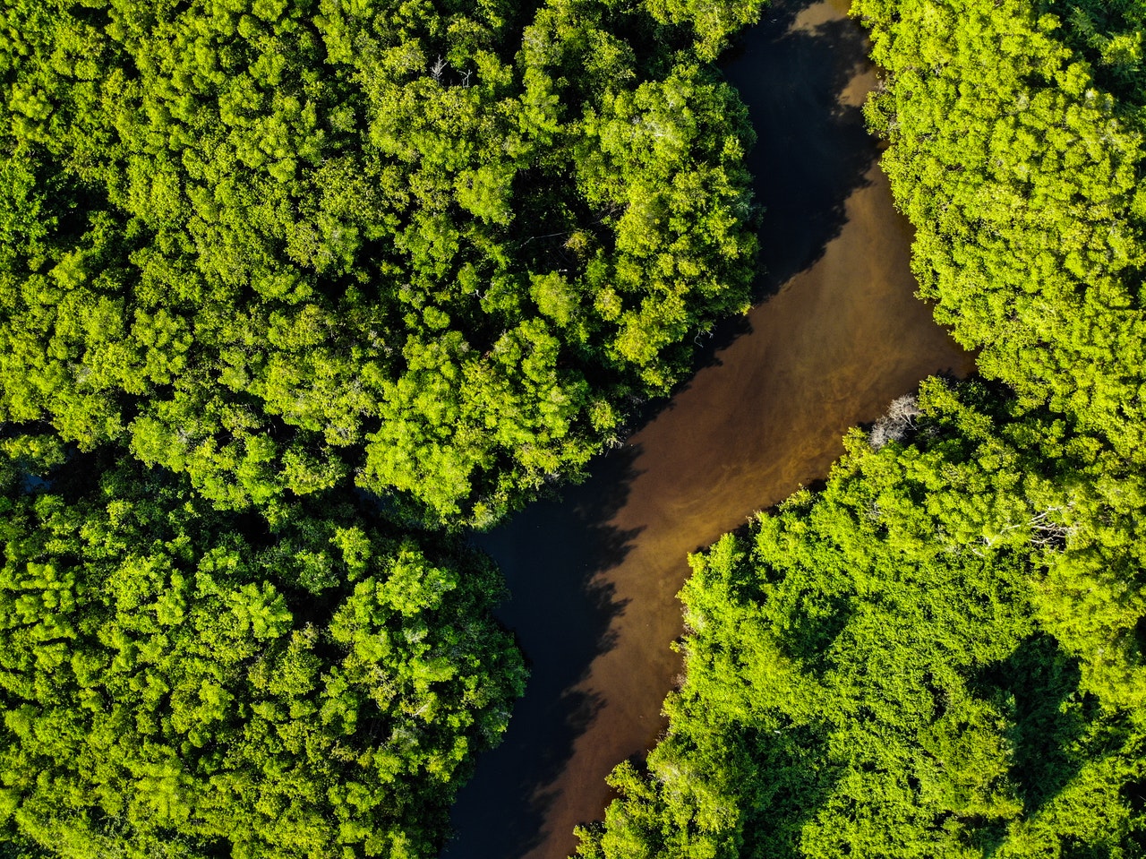 Brasil contra mudanças climáticas