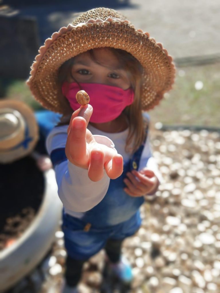 Ecoalfabetização: vínculo emocional com a natureza desenvolve consciência ambiental desde cedo