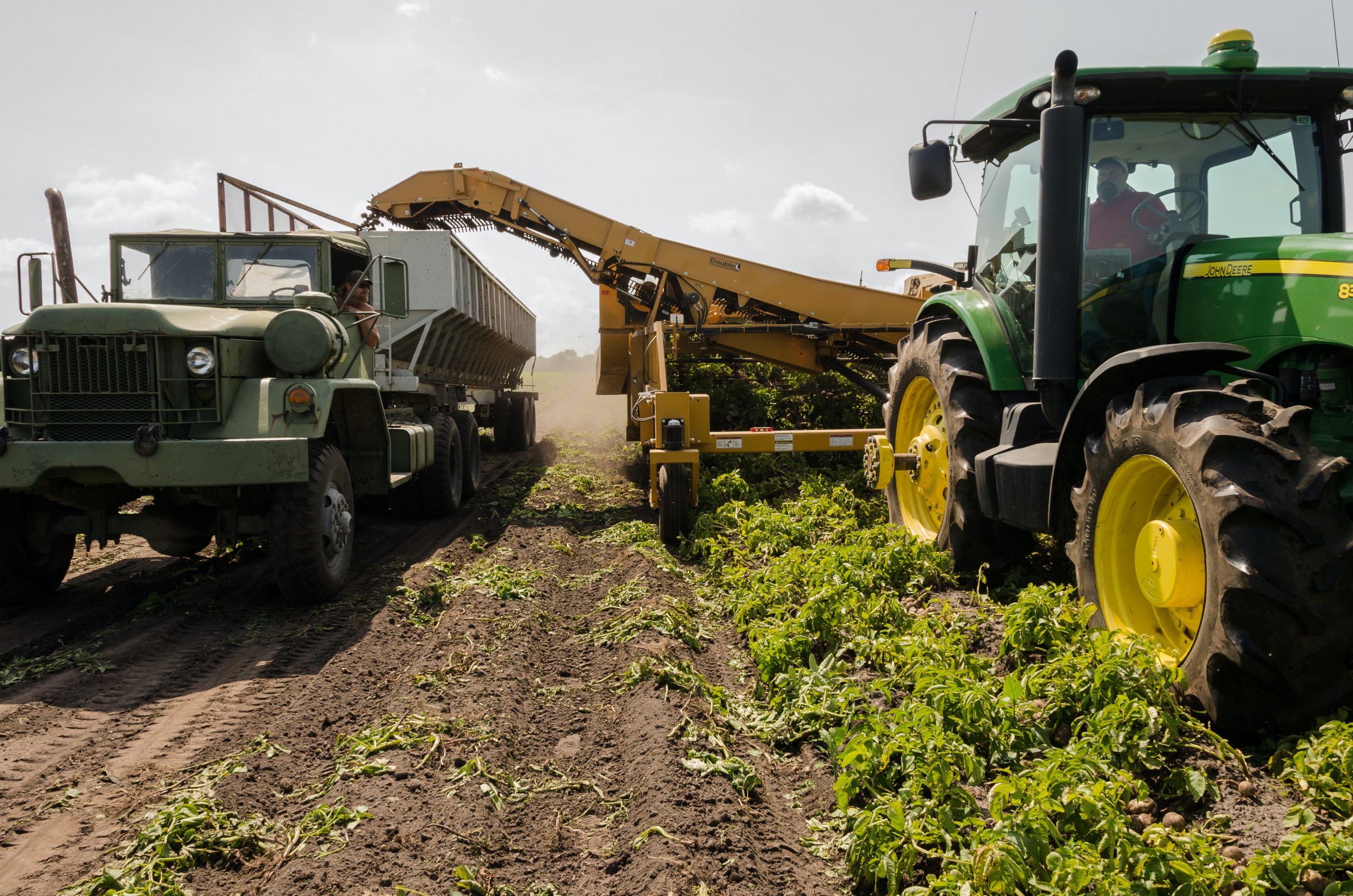 Reeleição do Brasil ao Conselho da FAO