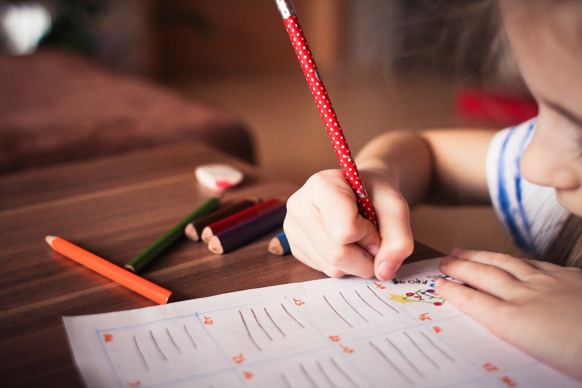 Educação para diversidade no ensino básico