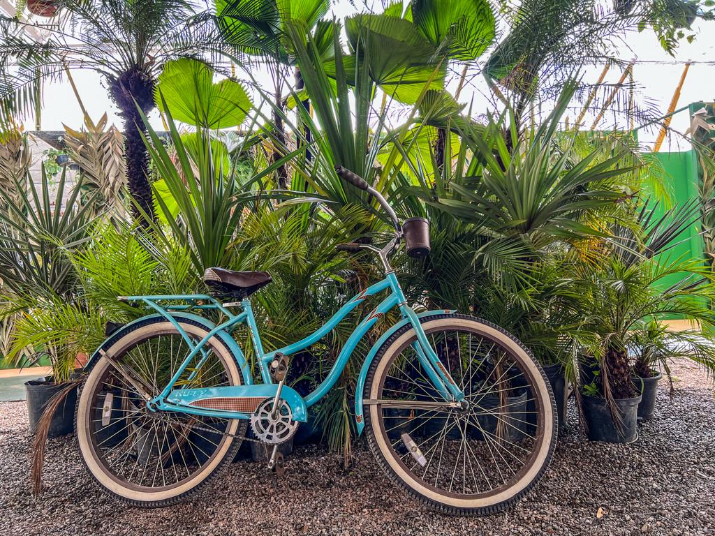 Jardim Secreto inaugura restaurante em viveiro de plantas