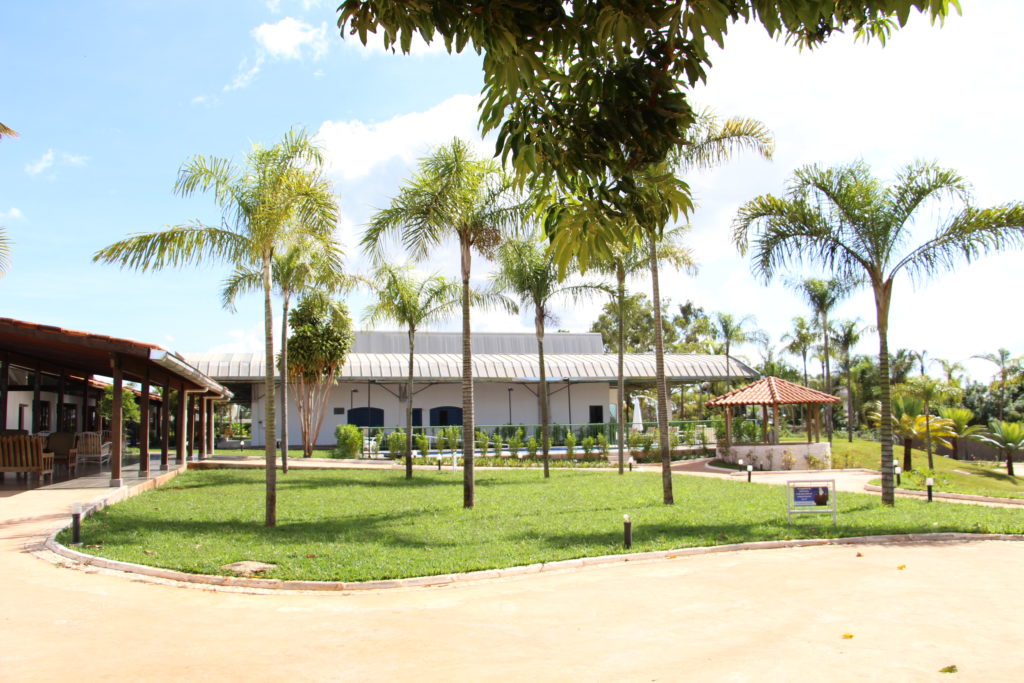 Vem aí o Pré Car-Naval Saúde