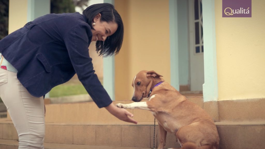 Cachorrinha Da Qualitá ganha novo lar e um documentário Notícias