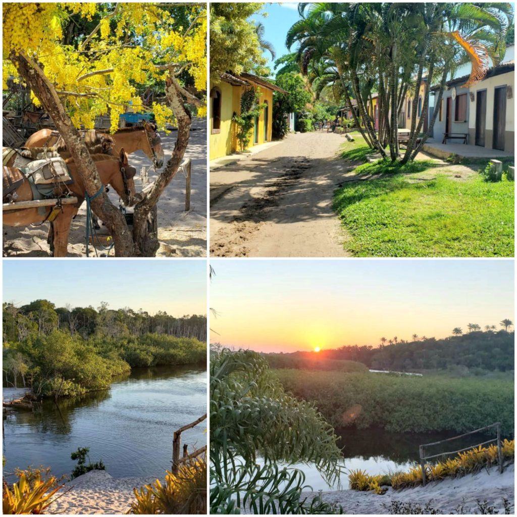 Novidade do La Boutique Café no verão de 2020 Turismo