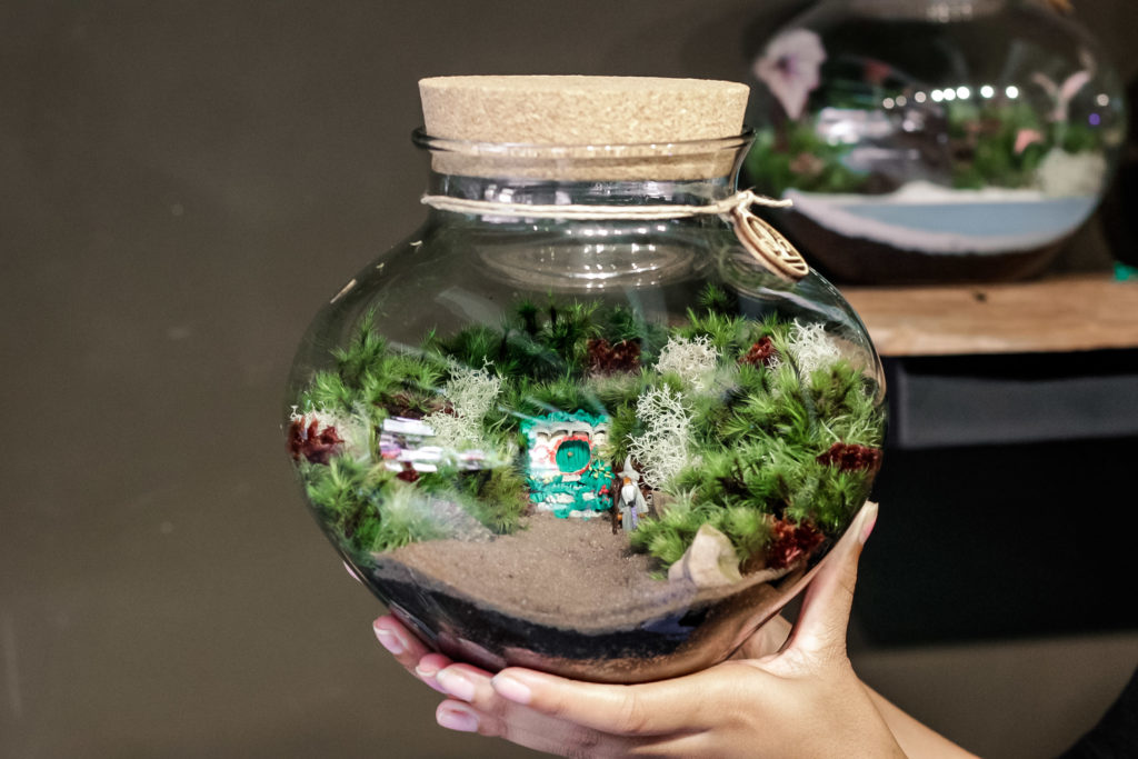 Nano Garden lança Kit Terapia Decoração