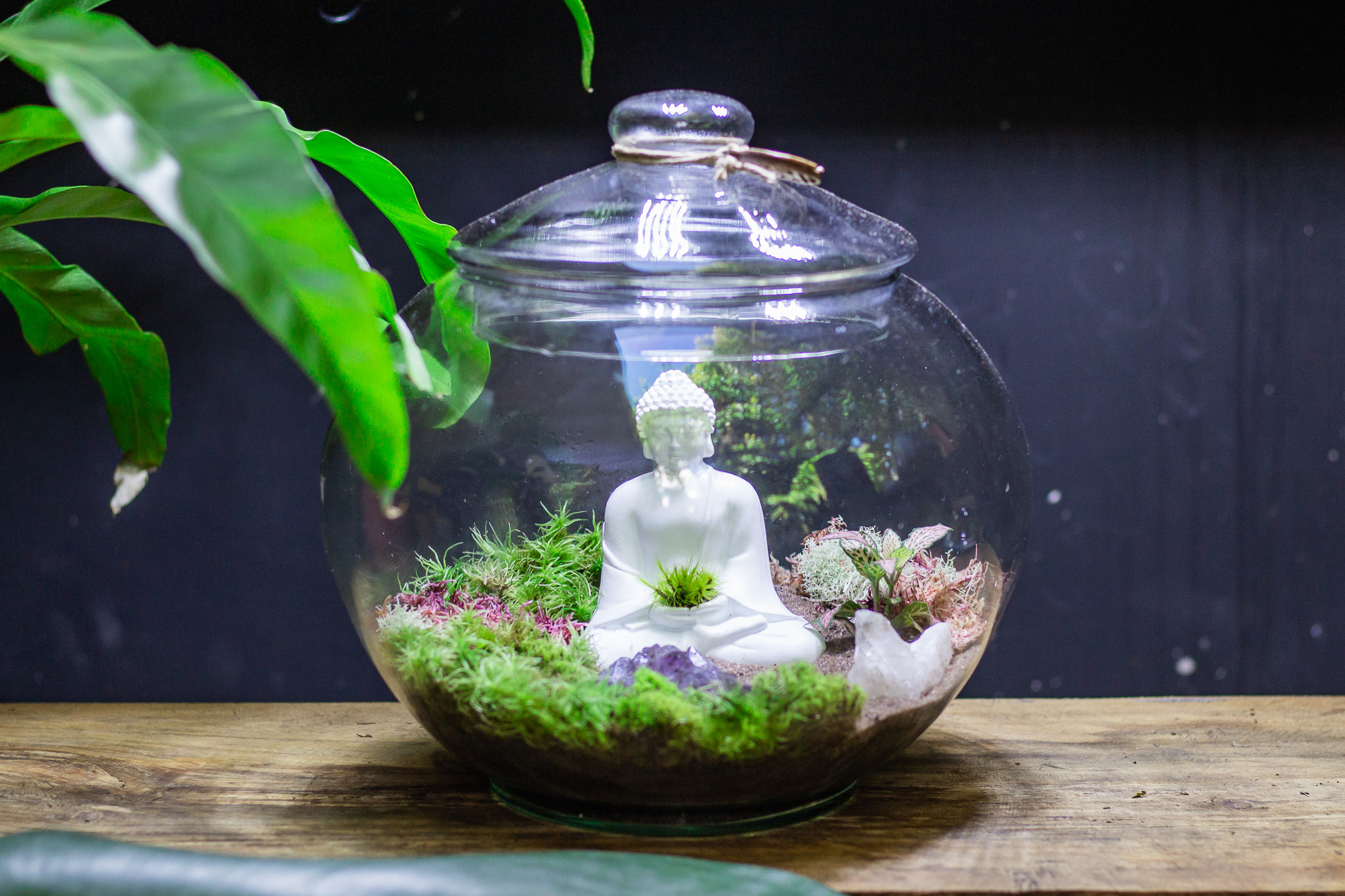 Nano Garden lança Kit Terapia Decoração