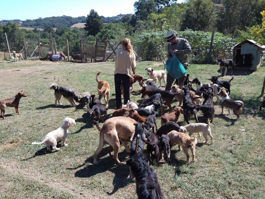Não abandone, eles dependem de você! Celebridades