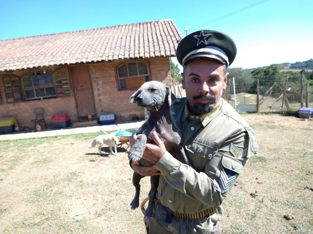 Não abandone, eles dependem de você! Celebridades