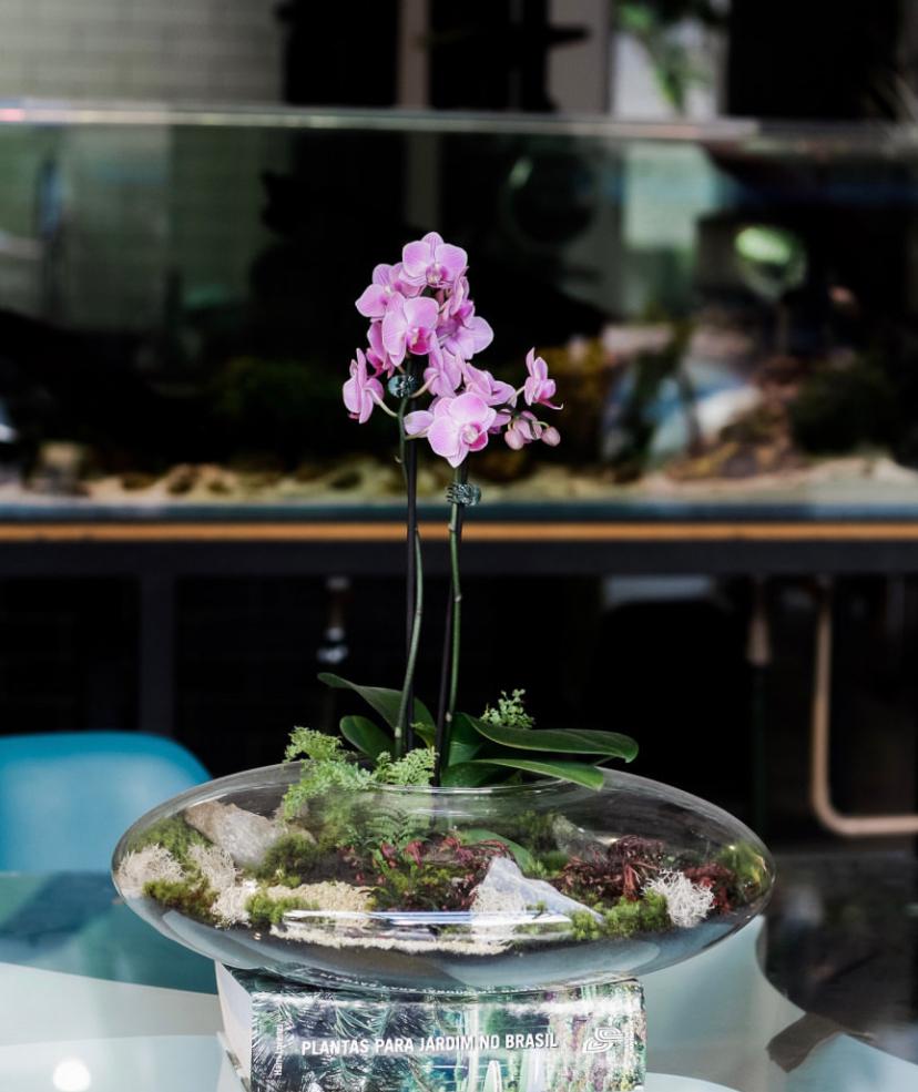 Saia do óbvio: sugestões de presentes criativos para as mães  Decoração