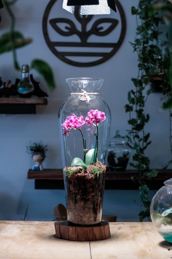 Saia do óbvio: sugestões de presentes criativos para as mães  Decoração