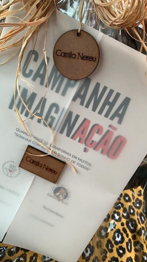 Campanha imaginAÇÃO: leilão de guirlandas natalinas arrecada fundos para comunidade carente no DF