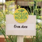 Horta Comunitária do JK Shopping realiza distribuição de ervas medicinais e aromáticas Notícias