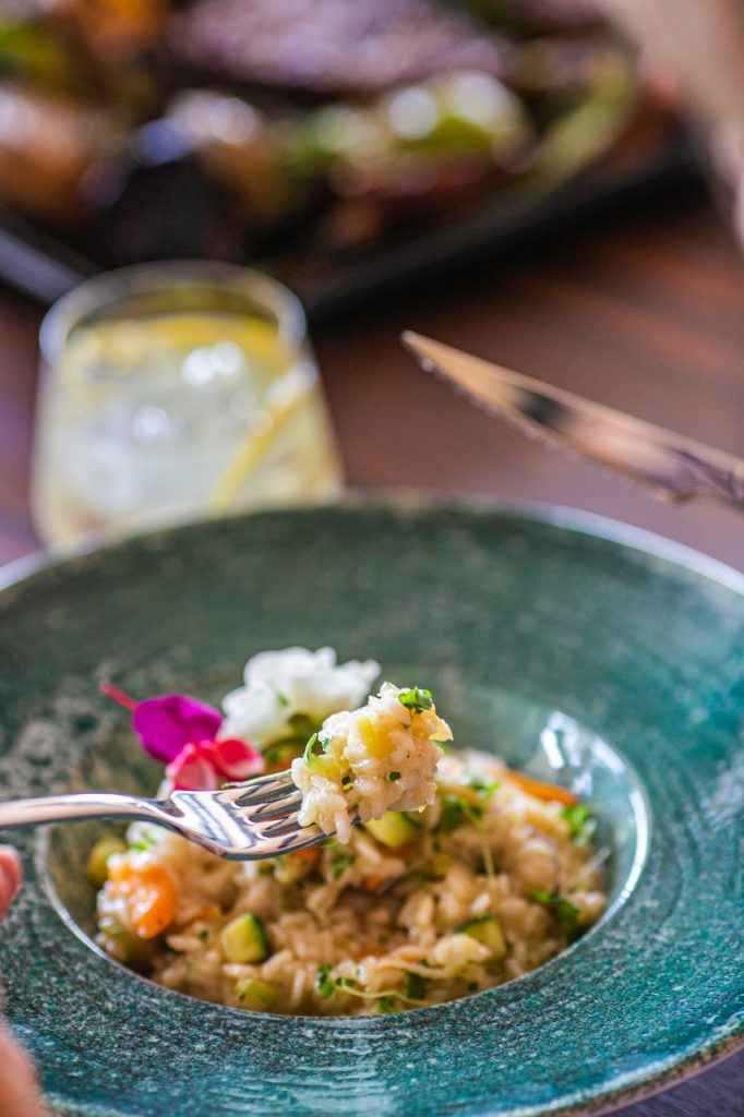 Mayer Sabores do Brasil faz promoção toda segunda e terça no jantar Notícias