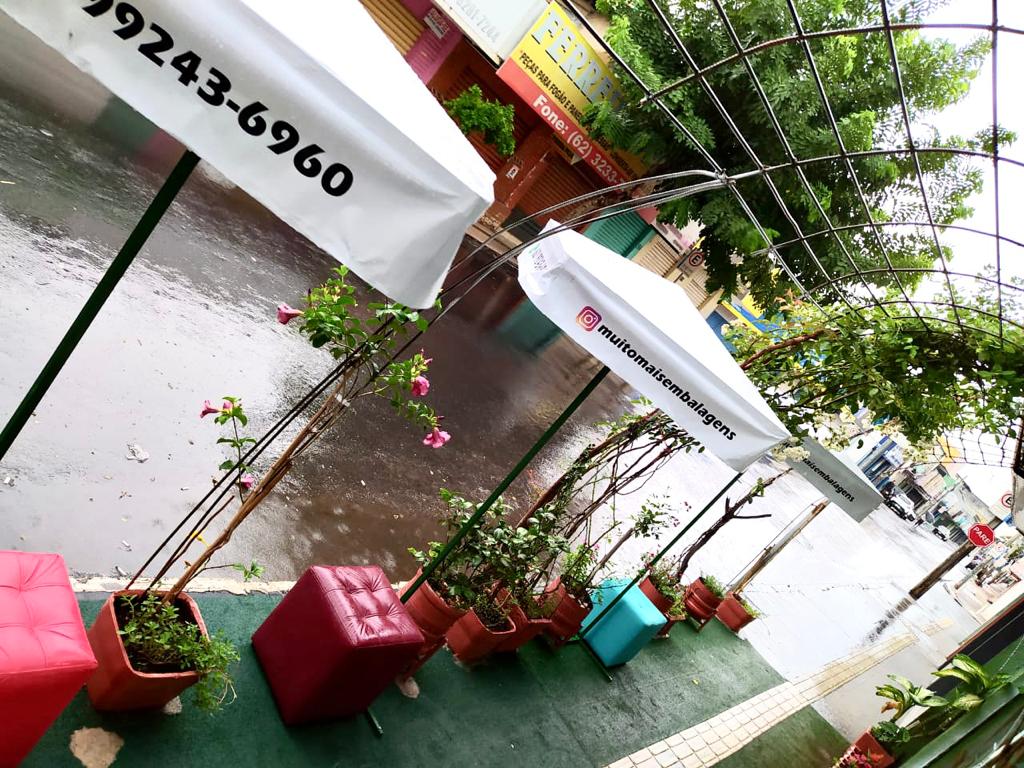 Loja de Campinas investe em conforto e segurança para consumidores durante pandemia Notícias