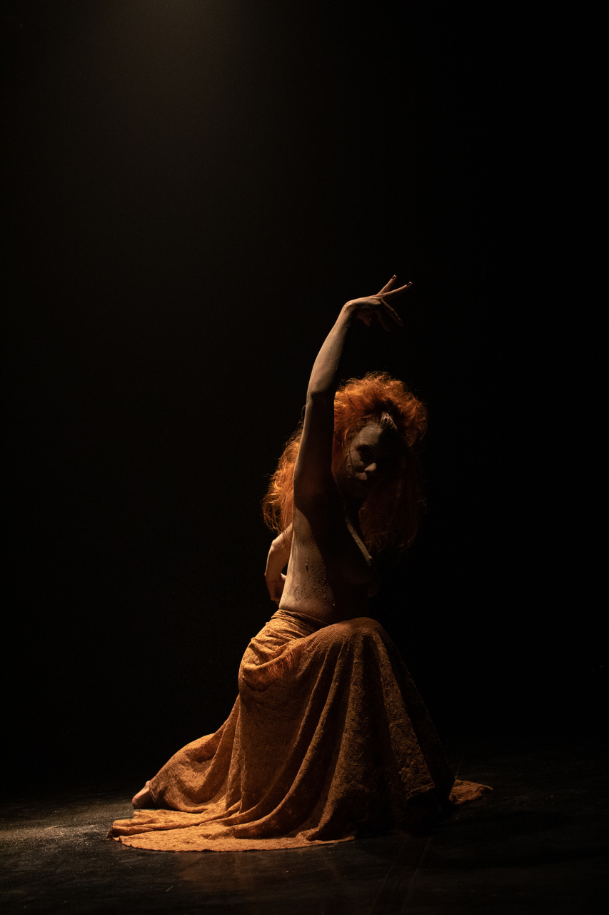 Espetáculo de dança contemporânea Mamadook entra em cartaz on-line