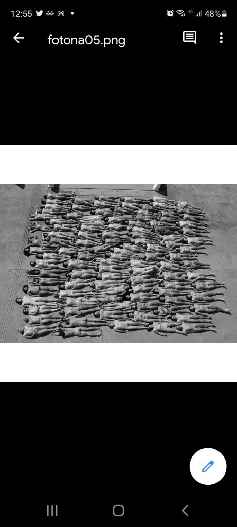 3ª edição da Feira de Arte Goiás está em formato virtual com a participação de 4 galerias de Brasília Artes