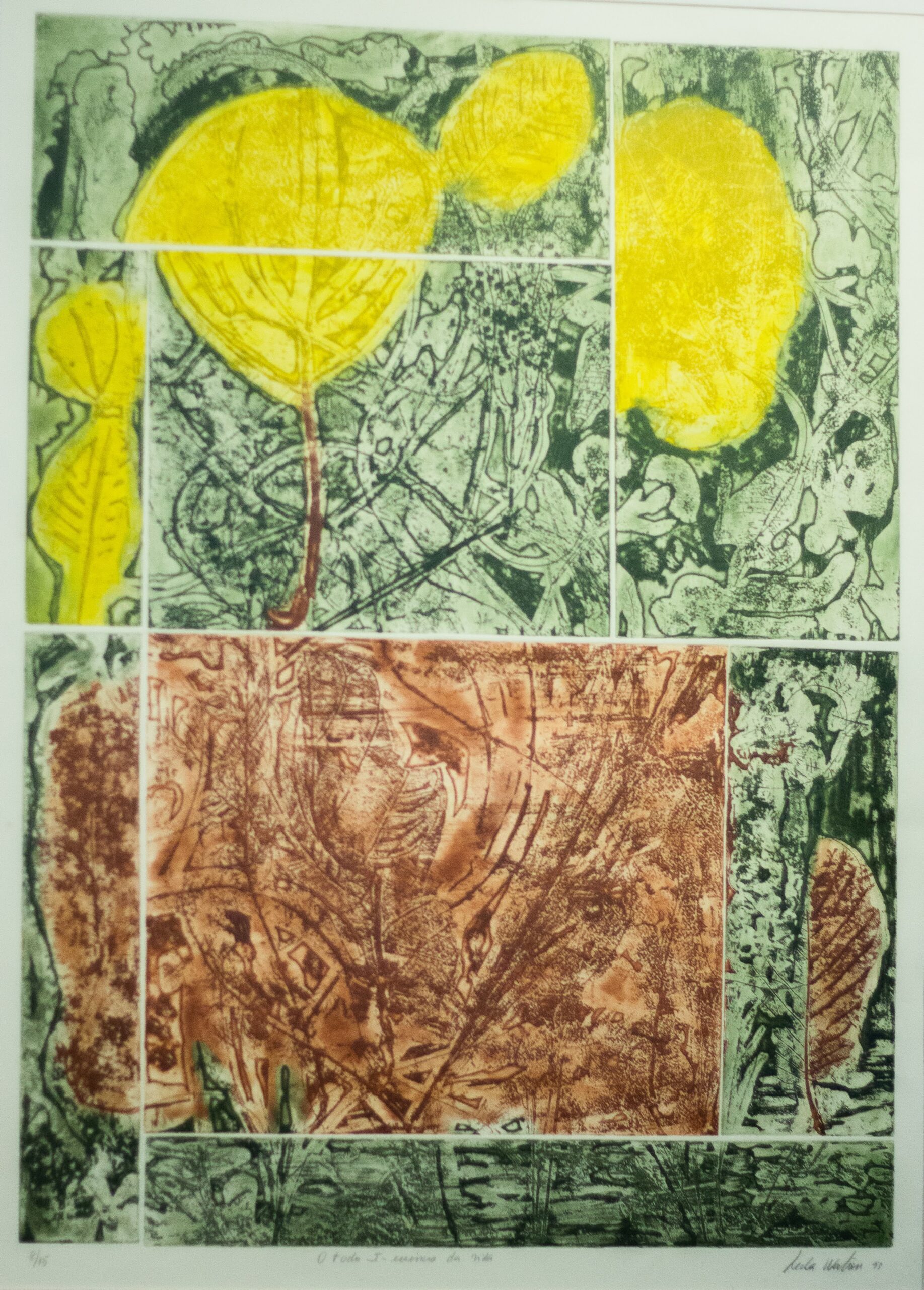 Qualidade do acervo do MAB estará refletida na primeira mostra Artes