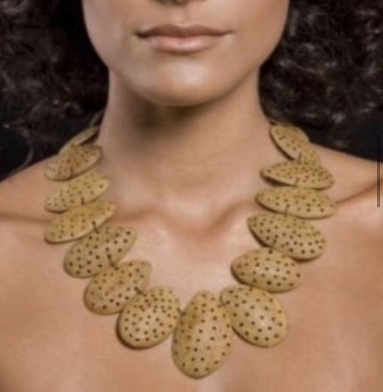 Projeto Alquima Educação