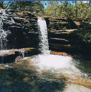 Vinhedo Girassol tem programação especial para o Dia dos Namorados Notícias