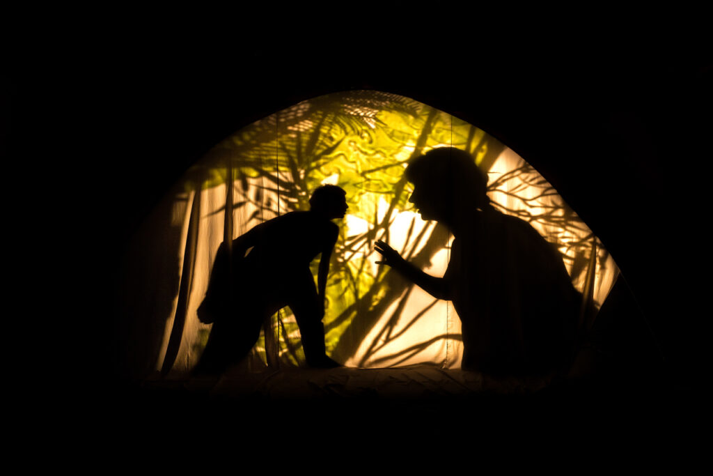 Projeto de Ocupação da Cia Lumiato no Complexo Cultural de Planaltina oferece programação Gratuita e Online Cultura