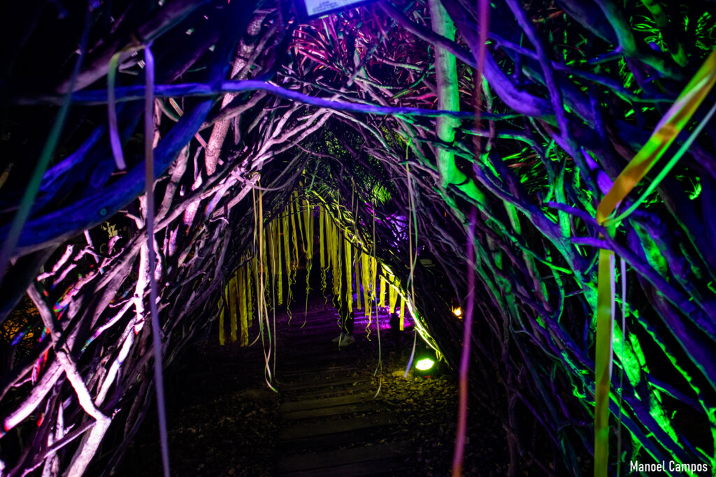 Santo Cerrado lança novos pratos inspirados na energia de renovação do Ano Novo em grande festa na Chapada dos Veadeiros Gastronomia