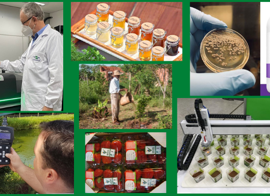 Embrapa faz demonstrações de tecnologias e práticas agrícolas em tempo real na Agrishow Notícias