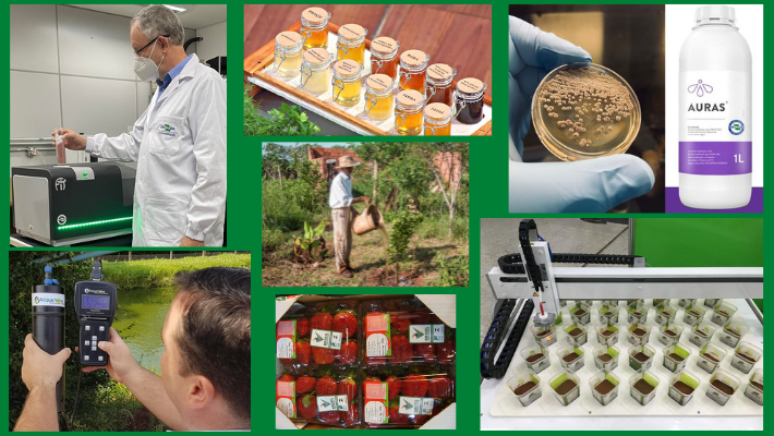 Embrapa faz demonstrações de tecnologias e práticas agrícolas em tempo real na Agrishow Embrapa