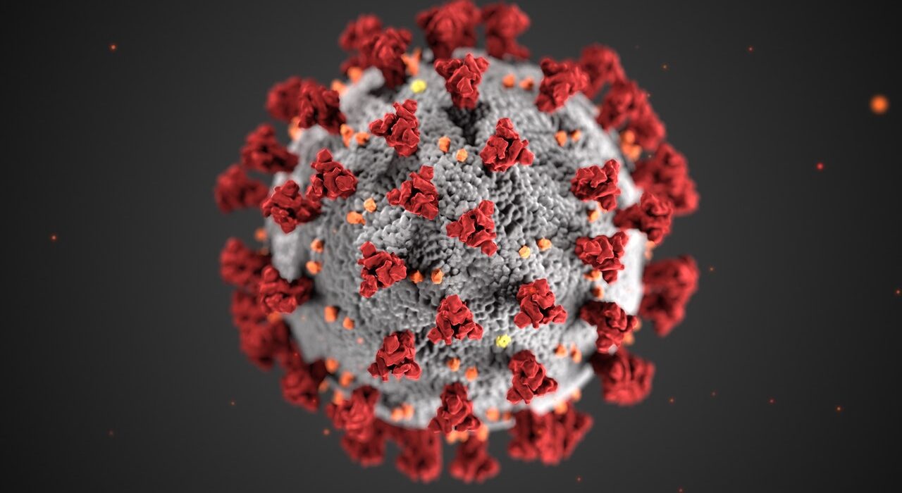 Vírus Influenza tem capacidade de mudar de um ano para outro