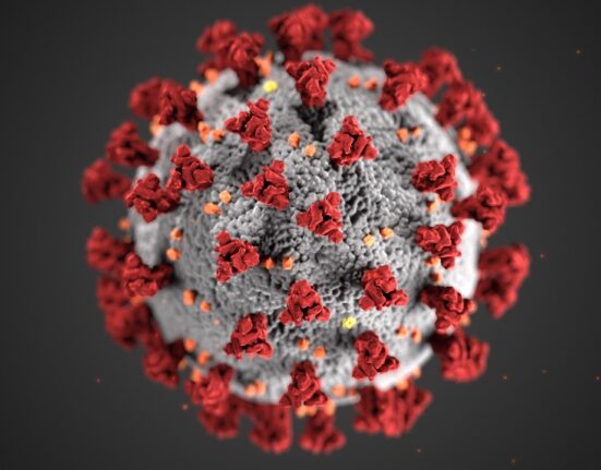 Vírus Influenza tem capacidade de mudar de um ano para outro