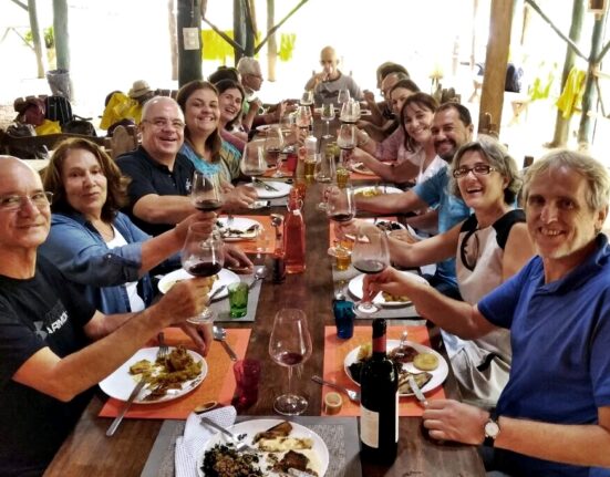 Wine Tour do Vinhedo Girassol terá programação completa no mês de junho Saúde