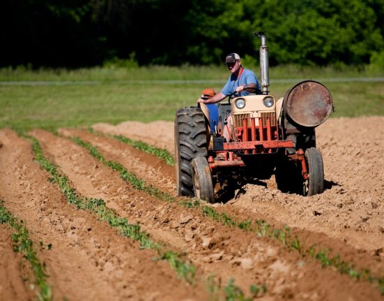 Banco Agro se aproxima de produtores rurais de Brasília e Bahia
