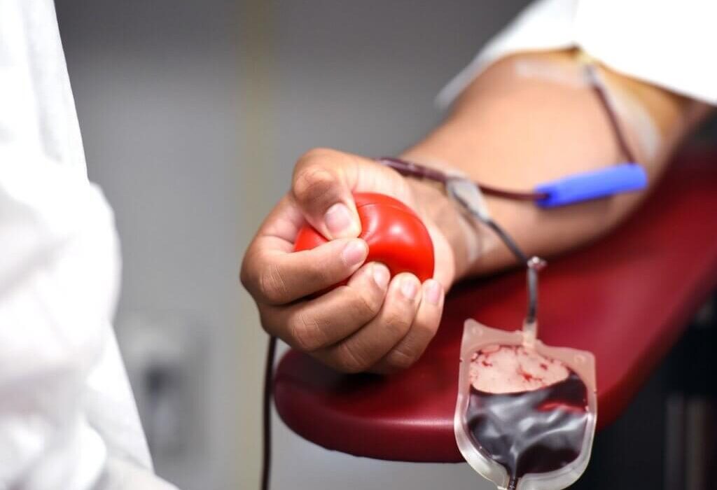 Dia Nacional do Doador de Sangue: entenda como a ação pode ser benéfica para o funcionamento do coração Saúde
