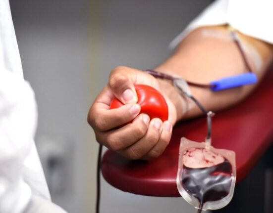 Dia Nacional do Doador de Sangue: entenda como a ação pode ser benéfica para o funcionamento do coração Gastronomia