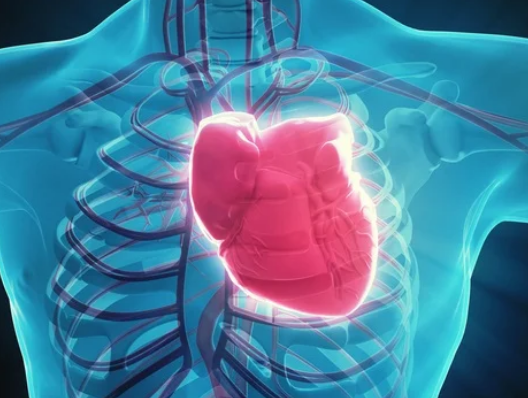 Cardiologistas no DF promovem debate sobre novas técnicas da crioablação de arritmia Saúde