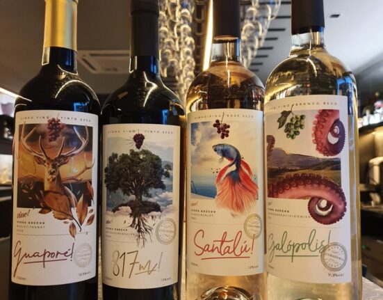 Vino! Wine bar promove degustação com curadoria de Raphael Zanette Gastronomia