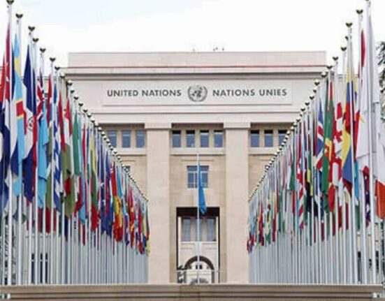 Lupi participa de encontro na ONU Colunismo Social