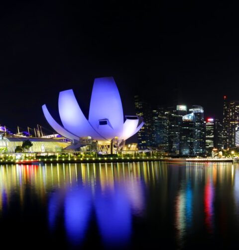 Conclusão das negociações do acordo de livre comércio entre o MERCOSUL e Singapura