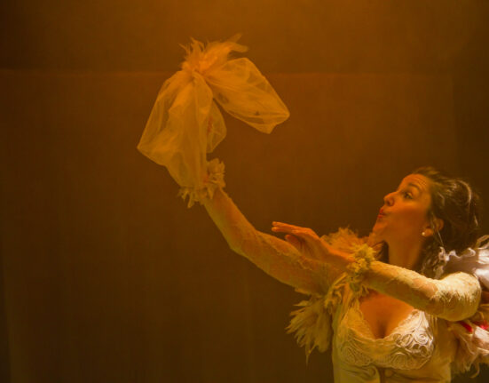 VIII Mostra de Intérpretes Criadores Alaya Dança Colunismo Social