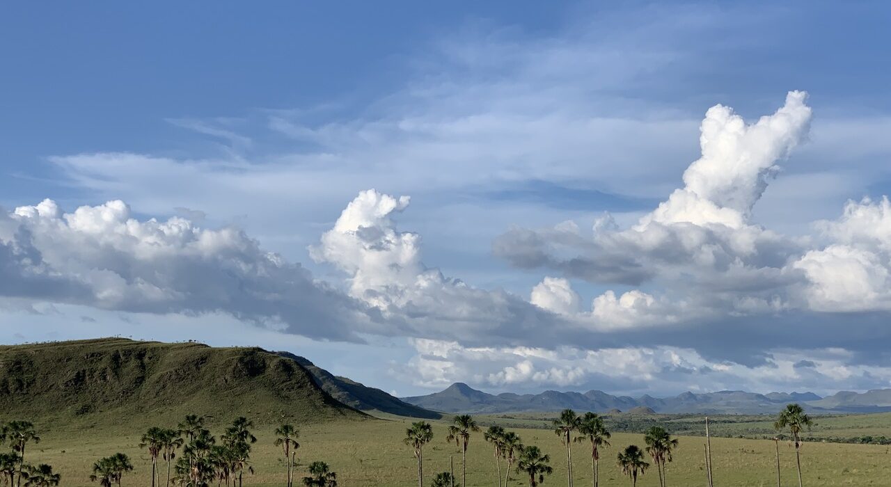 Festival de Fotojornalismo de Brasília convoca fotojornalistas e fotógrafos para apresentar imagens do Cerrado Notícias