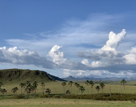 Festival de Fotojornalismo de Brasília convoca fotojornalistas e fotógrafos para apresentar imagens do Cerrado Colunismo Social