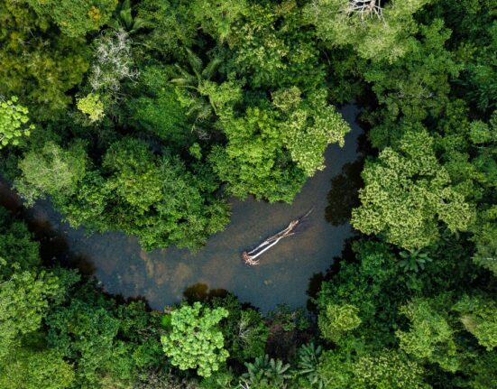 Corporação financeira dos EUA e banco brasileiro assinam empréstimo de 45 milhões de dólares para região Amazônica   Geral