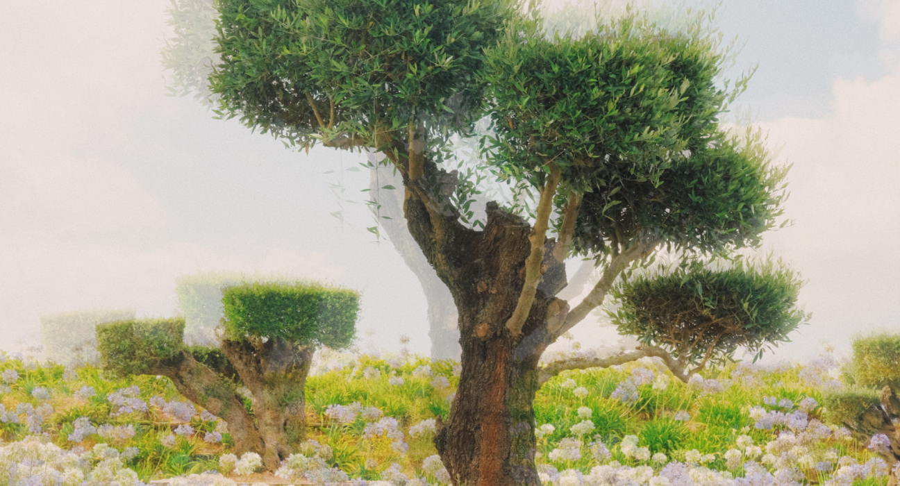 Ginger and The Peppers lança “Plastic Time” Música