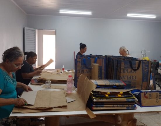Mulheres da Fercal recebem capacitação na área de reciclagem e gestão Cultura