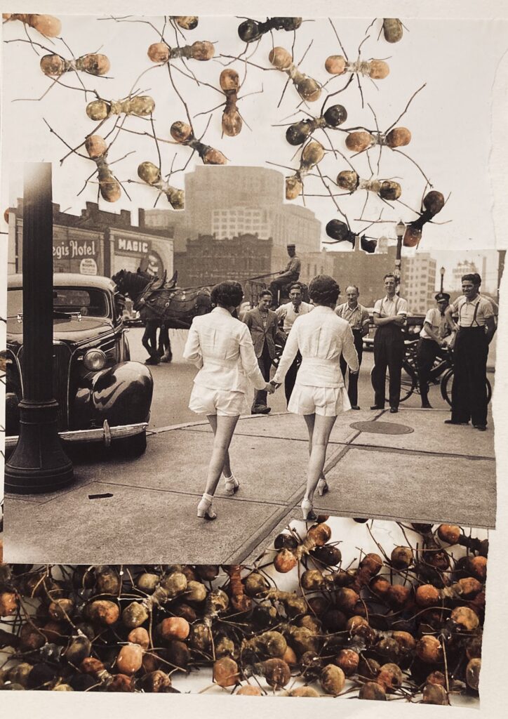 Exposição Coletivo deColagem reúne trabalhos de 14 colagistas do DF Artes