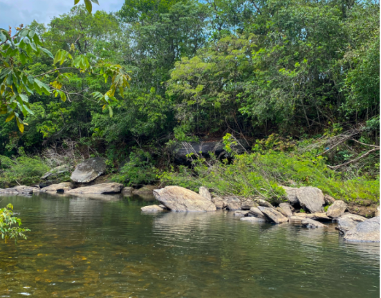 Rio Corumbá: um trajeto de belezas naturais, mas também de desenvolvimento Notícias