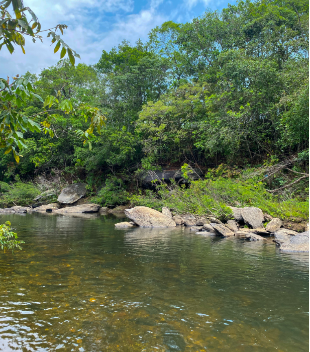 Rio Corumbá: um trajeto de belezas naturais, mas também de desenvolvimento Notícias