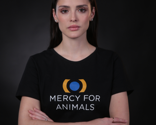 Isabelle Drummond Mercy For Animals no Brasil (MFA) Notícias