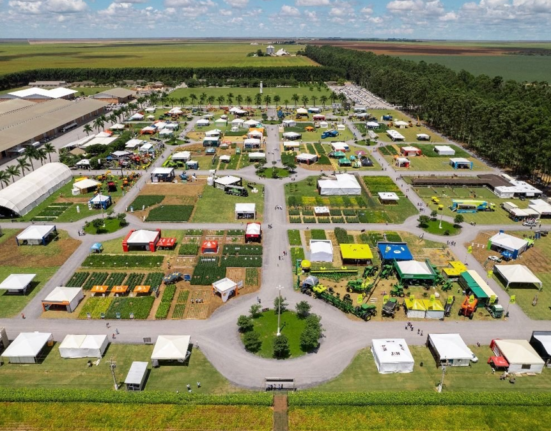 Venha aí o Agro Rosário: Feira destaca potencial agrícola do Oeste da Bahia Colunismo Social